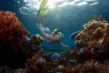 Ubud Bali Blue Lagoon Snorkeling and Waterfall Tour