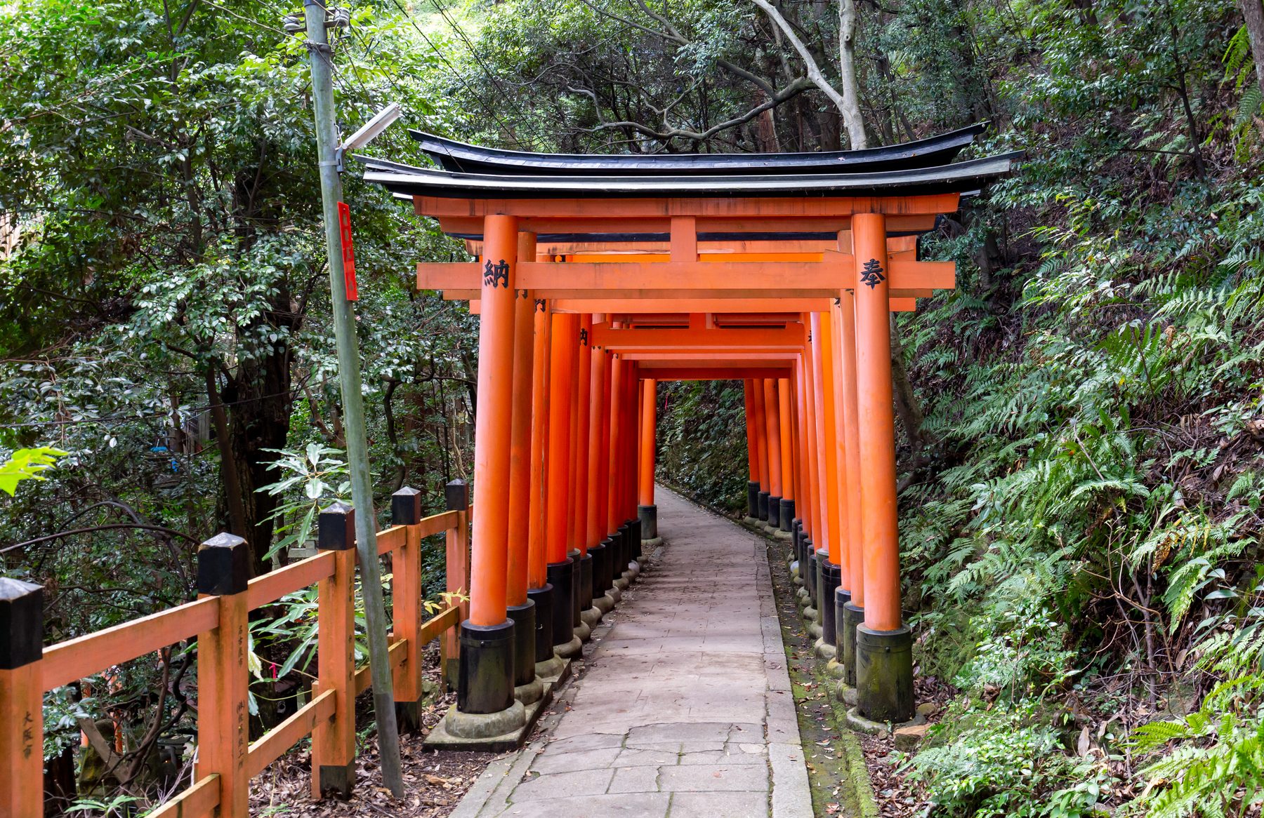 Kyoto Highlights and Hidden Gems in Nature