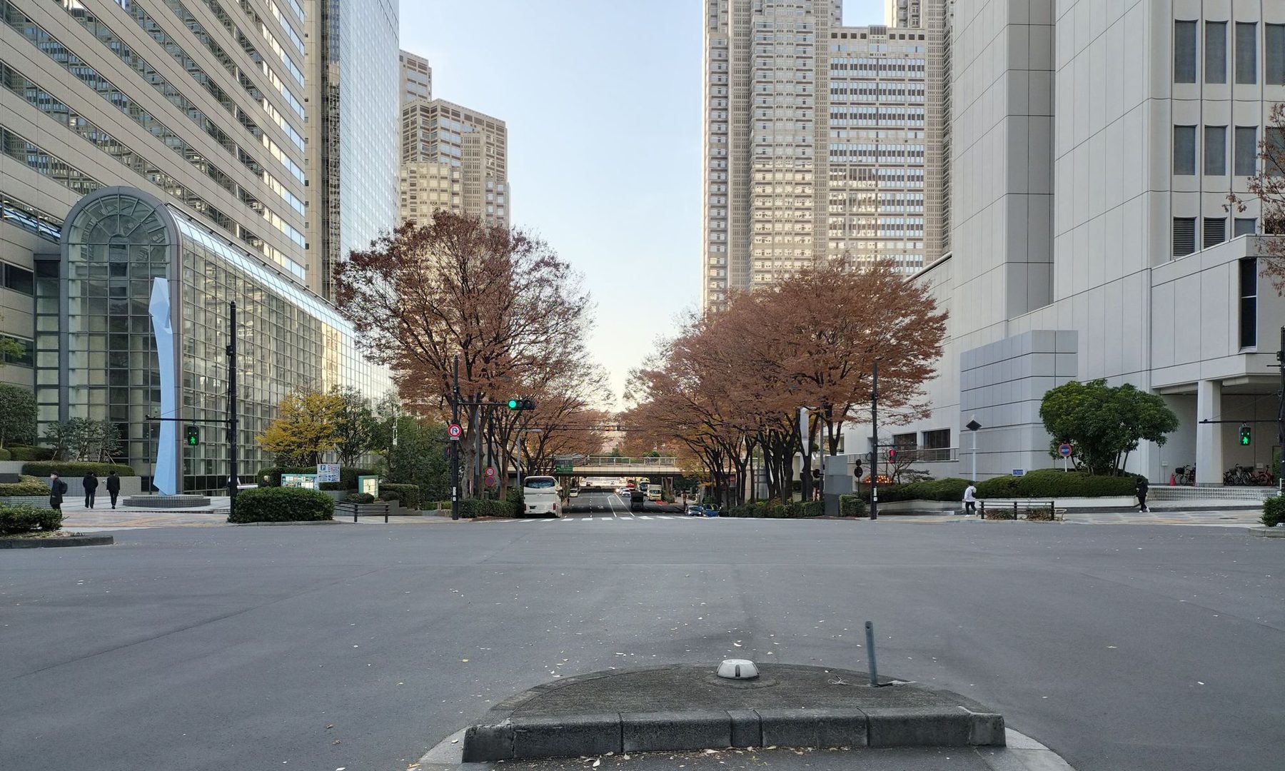 South side of Keio Plaza Hotel Tokyo in Nishi-Shinjuku, with autumn trees and the surrounding towers