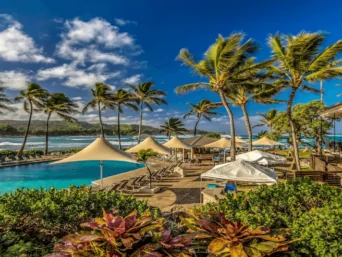 turtle bay hawaii