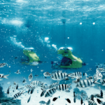 four seasons bora submarine