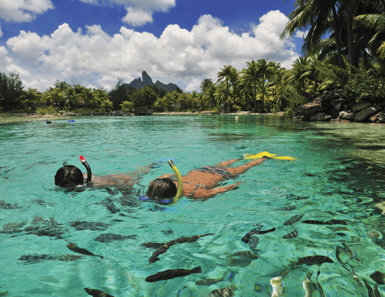 stregis snorkeling