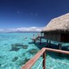 Sofitel Moorea Ia Ora Beach Resort overwater bungalow