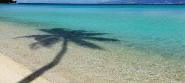 Sofitel Moorea Ia Ora Beach Resort