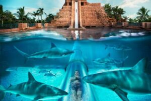 ATLANTIS WATER SLIDES BEST IN THE WORLD