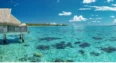 Sofitel Moorea Luxury Overwater Bungalow
