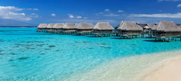 Sofitel Moorea Superior Overwater Bungalo