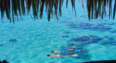 Sofitel MOorea Horizon Overwater