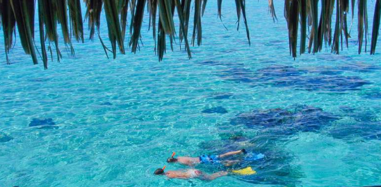 Sofitel MOorea Horizon Overwater