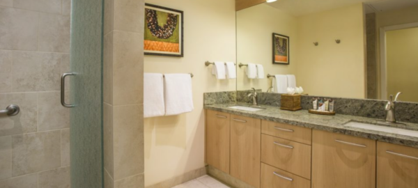 Napili Family Studio Oceanview bathroom