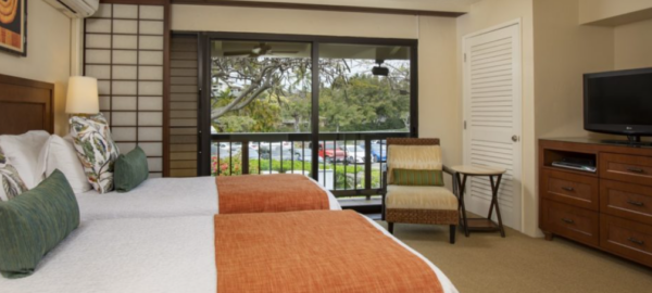 Napili F2 bedroom oceanview twins