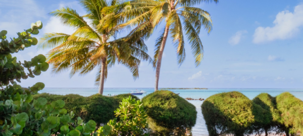 residence beach bungalow