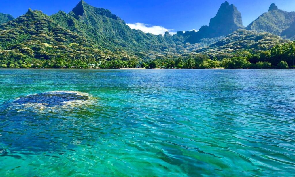 9 Days Two Island Deal from $9,500 for 2 
Featured Hotels:  Fare Oaoa Haapitianava Moorea,  Intercontinental Le Moana  Bora Bora 
•.  Air from LAX to Papeete – Economy Class.
•. Welcome Meet and Greet
•. 3 Nights Fare Oaoa Haapitianava Bungalow on the Beach
•. 5 Nights Intercontinental Le Moana Overwater Bungalow
•.  Breakfast Daily,
•. Interisland Air, Land - Boat Transfers