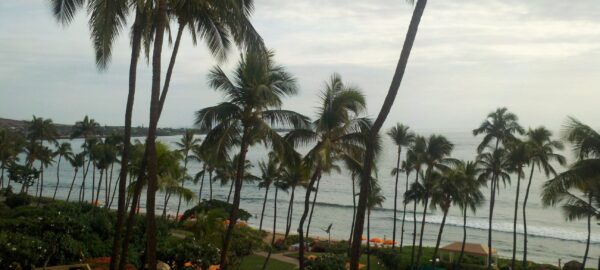 Hyatt Maui Oceanfront Property