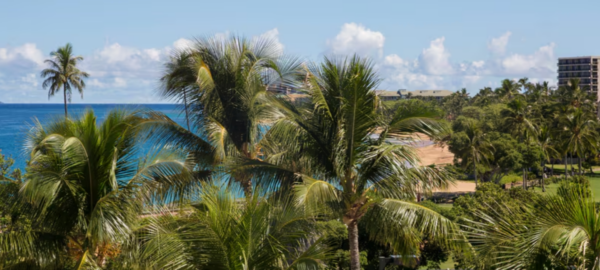 sheraton Maui partial ocean