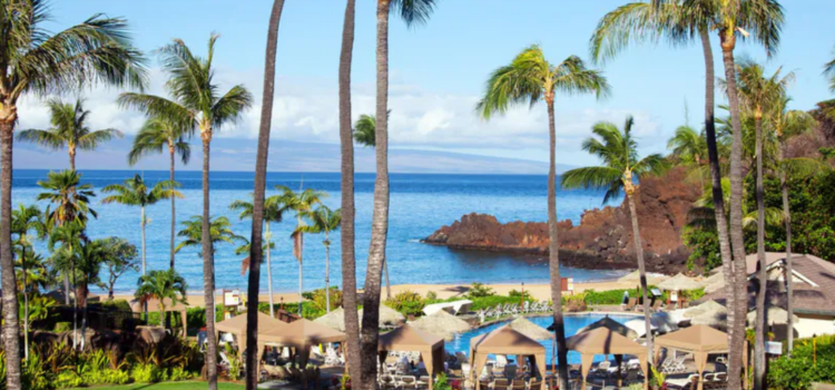 sheraton Maui Deluxe Ocean View