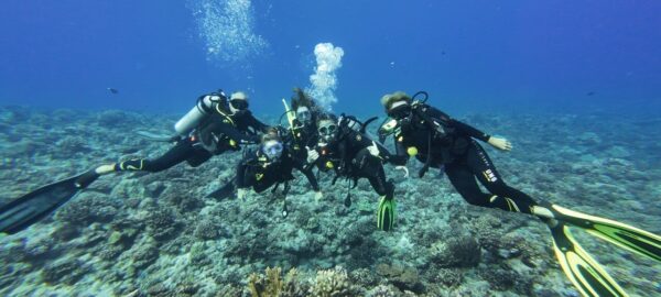 bora bora diving