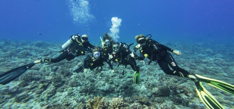 bora bora diving