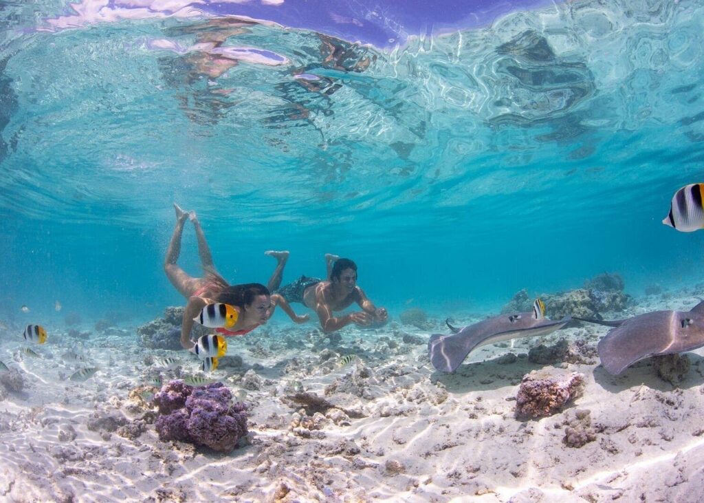 From $115 p/person

* Bora Bora’s underwater world while snorkeling in the lagoon
* Go with a guide who knows the lagoon and its inhabitants intimately
* Equipment and transport from select hotels included
* Mask & Snorkel equipment (we recommend you to bring your own)
* Bottled water