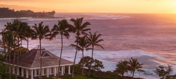 turtle bay hawaii honeymoon