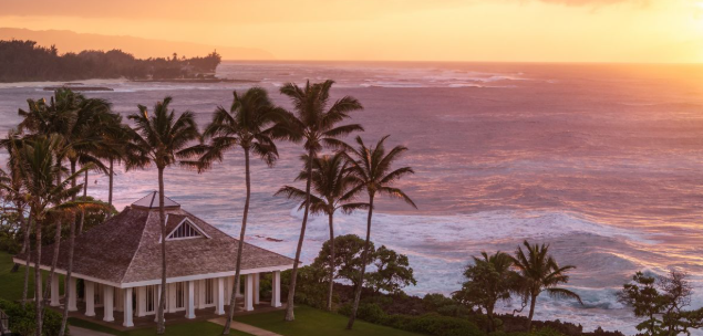 turtle bay hawaii honeymoon