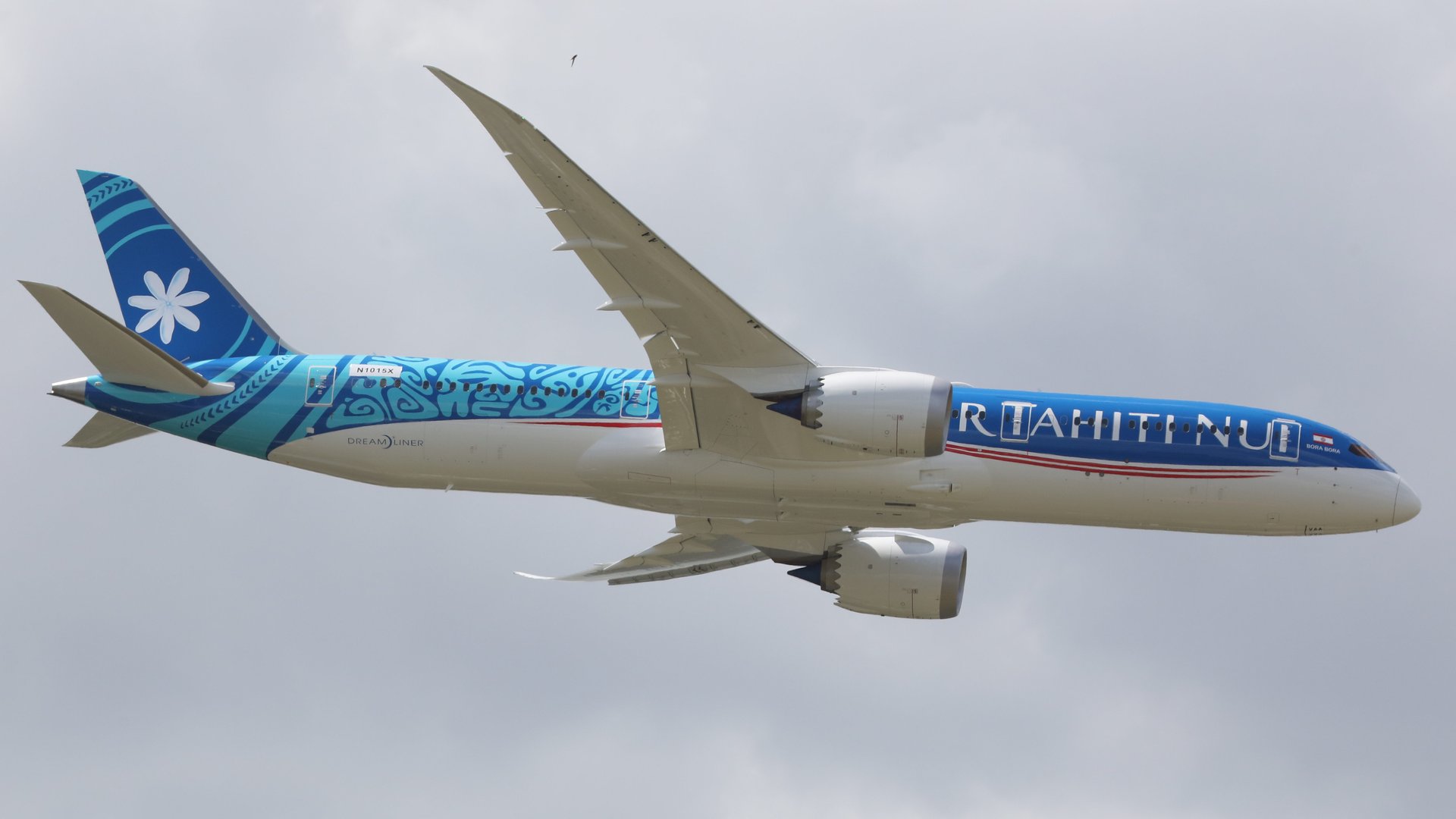 A First-Timer's Guide to Flying Economy from LAX to Tahiti