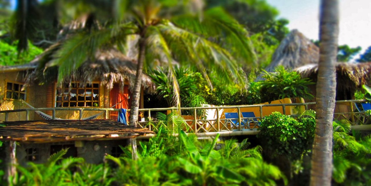 Jungle casita bungalow surrounded by tropical foliage at Playa Escondida