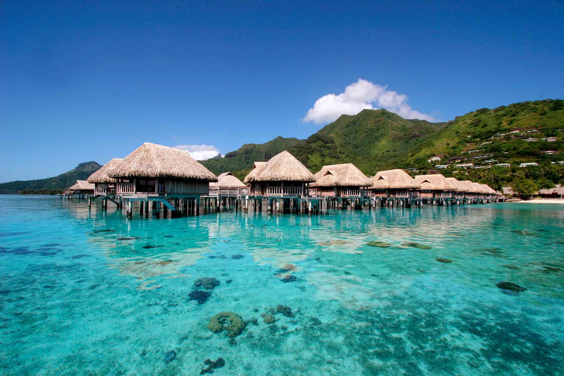Sofitel Moorea Superior Overwater Villas on stilts over the turquoise lagoon