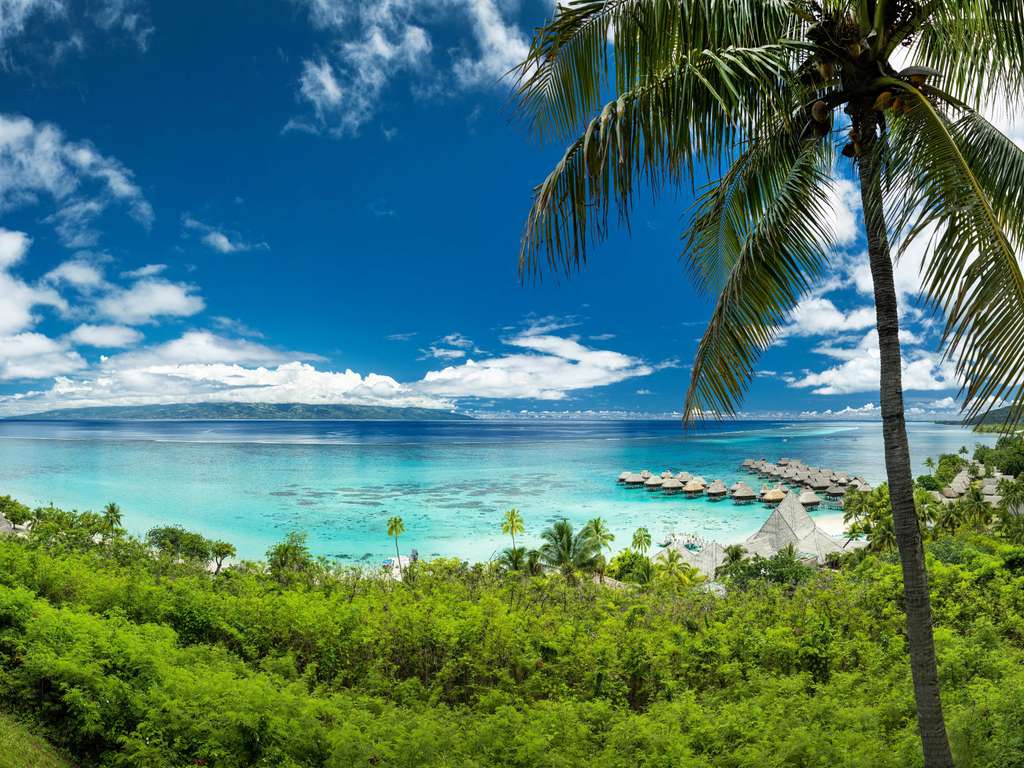 Moorea 6-Hour Snorkeling and Lunch Shared Tour