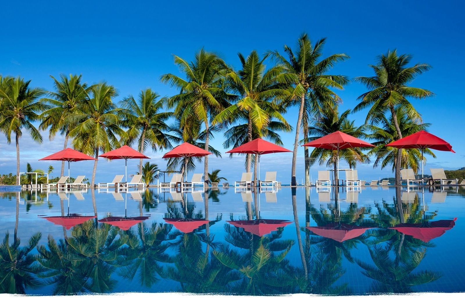 Musket Cove Island Resort & Marina