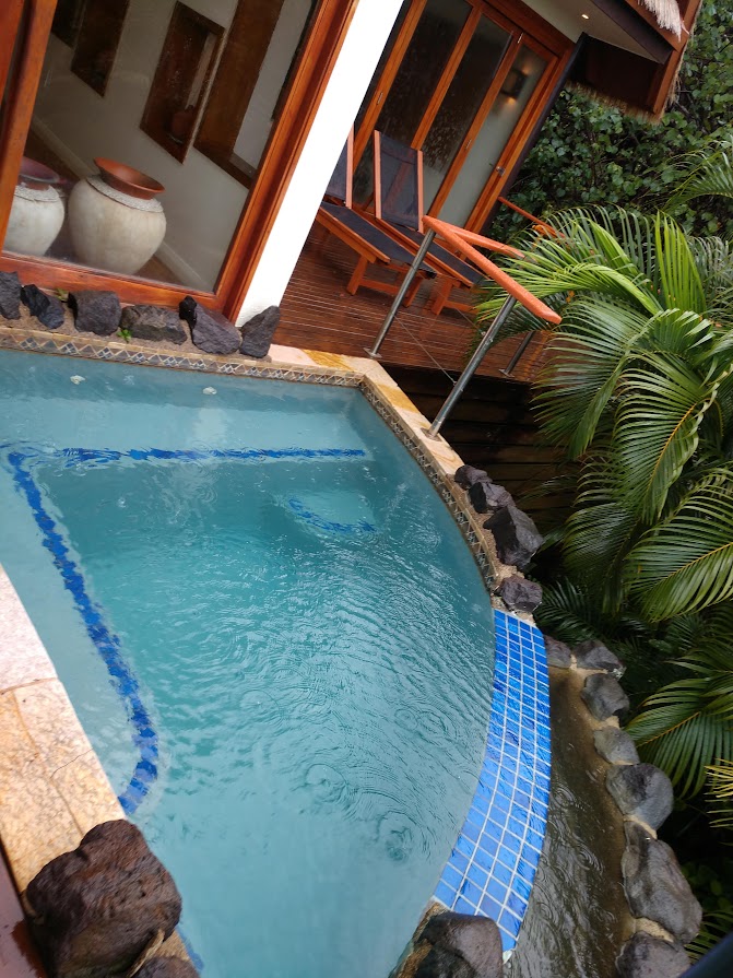 Royal Davui Island View private plunge pool overlooking the island